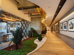 BA-deloitte (12).jpg
