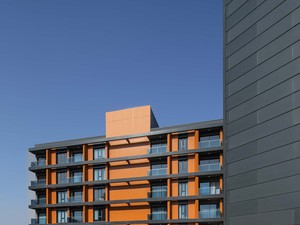 09.jpg