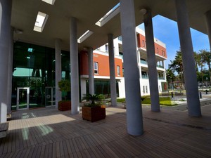 1 (20).jpg