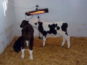 KZY_5866 - Kopya.JPG