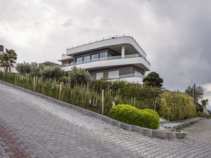 CYN_8209-.jpg