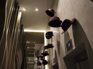 z (11).jpg