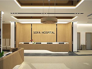 Sofa Hospital