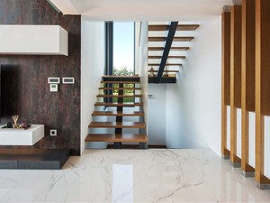 t1 (3).jpg