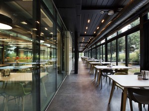 1 (17).jpg