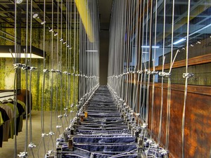 _MG_8803.jpg
