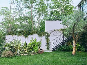 1 (24).jpg