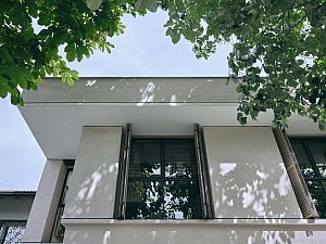 1 (29).jpg