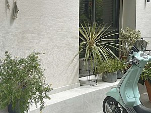 1 (4).jpg