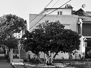 3_BA House_before.jpg