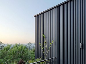 OFV_BA-Evi_10.jpg