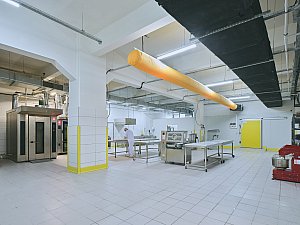 Backhaus