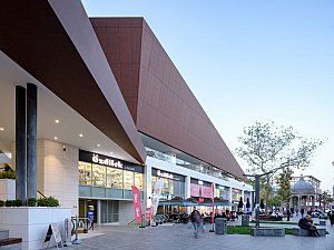 20231108_DSF4049.jpg