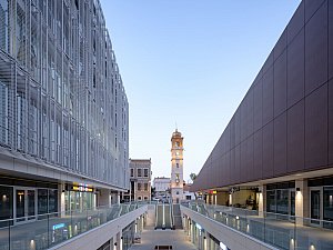 20231108_DSF4062.jpg