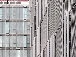 20231109_DSF4204.jpg