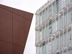 20231109_DSF4212.jpg