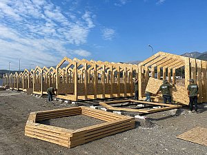 Gökmen_BARK_10.jpg