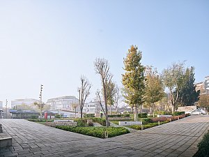 1-EKAP9561_bhbW © 2024.jpg