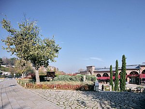 11-EKAP9859_bhbW © 2024.jpg