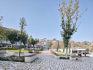 28-EKAP9819_bhbW © 2024.jpg