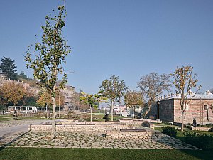 5-EKAP9768_bhbW © 2024.jpg