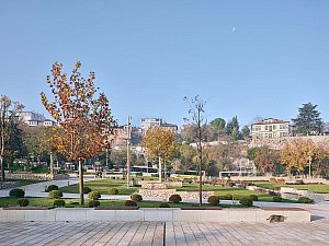 8-EKAP9598_bhbW © 2024.jpg