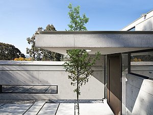 ÇMB_PHOTOS (40).jpg