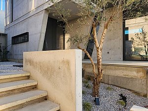ÇMB_PHOTOS-(5).jpg