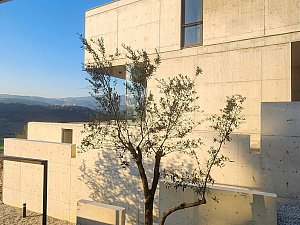 ÇMB_PHOTOS-(6).jpg