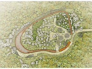 Site-plan.jpg
