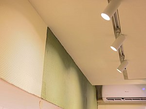 YCL_9603.jpg