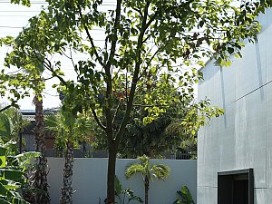 BAGO_D Evi_13.jpg