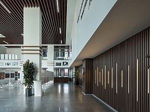 ZMY_0100-1.jpg