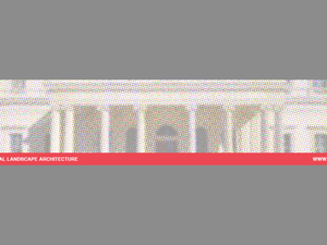 dla-cropped-header.png