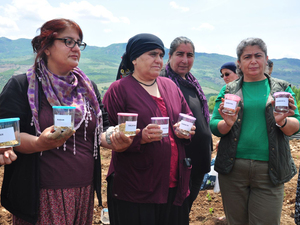 doğal-bostan-13.jpg