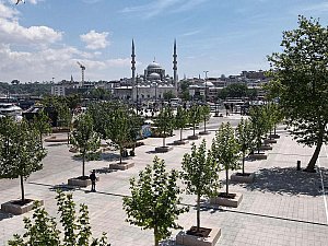 FREA_Halic_Photos (3).jpg