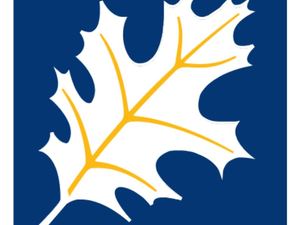 ahec-logo2.jpg