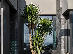 G-House_Ofisvesaire_27.jpg