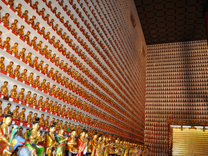 Ten-Thousand-Buddhas-Monastery-Miniature-Buddha-statues-on-the-wall.jpg