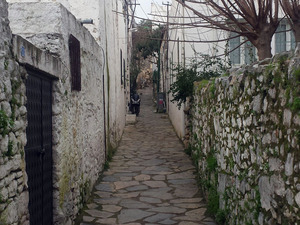 Foto 7.jpg