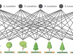 coalesence genomes.jpg