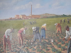 sekerfabrikasi04.jpg