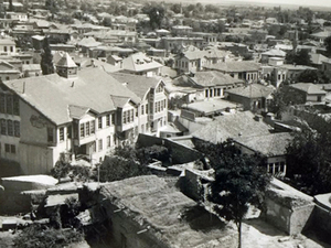 basarli_manse12.jpg