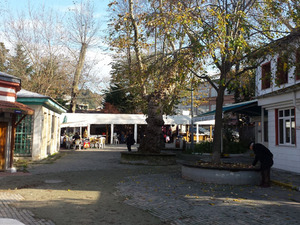 20171126_104610.jpg