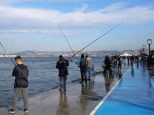 Foto 6-a.jpg
