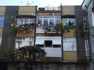Foto 6-b.jpg