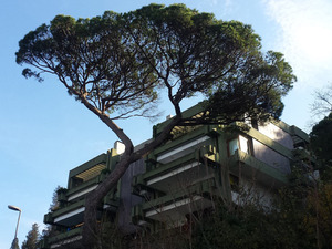 Foto 6-c.jpg