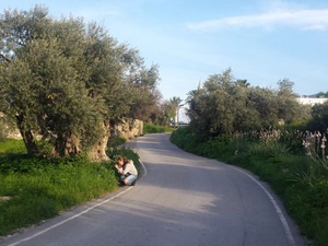 Fotoğraf 5.jpg