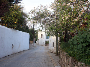 Fotoğraf 8.jpg