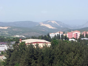 Foto10.jpg